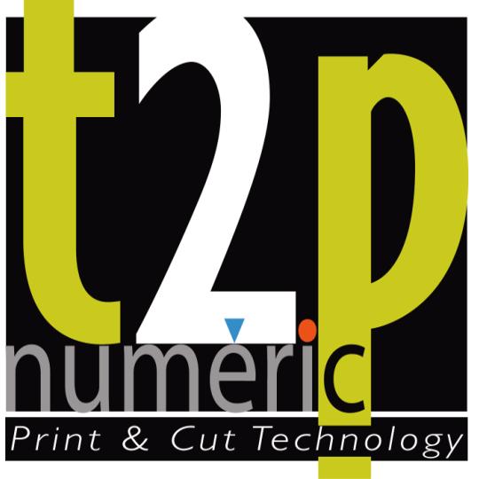 T2P Numeric
